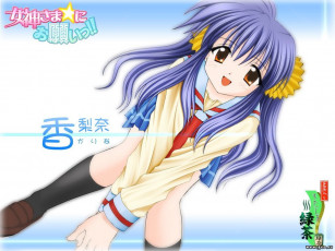 Картинка аниме *unknown другое