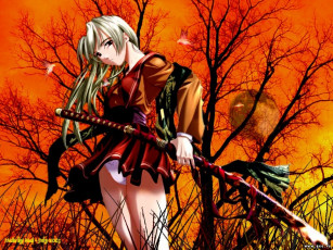 Картинка аниме weapon blood technology