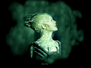 Картинка кино фильмы star trek