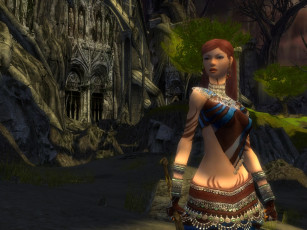 Картинка видео игры guild wars