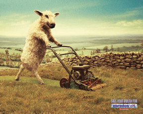 обоя бренды, mentos