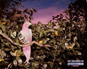 Картинка бренды mentos