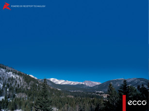 Картинка бренды ecco