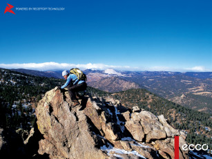 обоя бренды, ecco