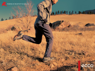 Картинка бренды ecco