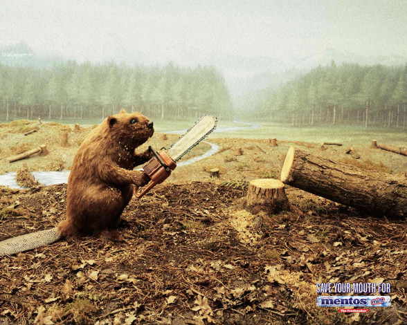 Обои картинки фото бренды, mentos