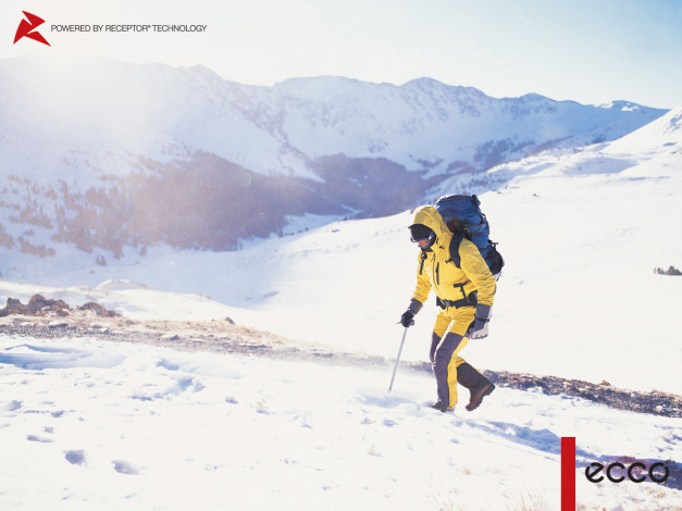 Обои картинки фото бренды, ecco