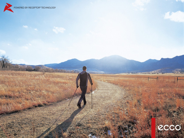 Обои картинки фото бренды, ecco