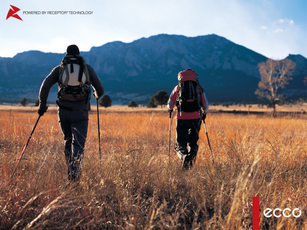 Обои картинки фото бренды, ecco