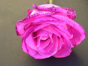 Картинка цветы розы блестки