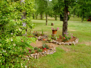 Картинка природа парк цветы деревья