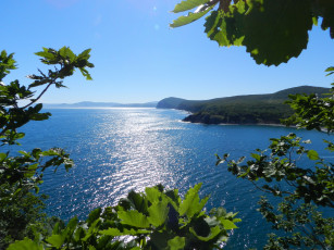 Картинка природа реки озера