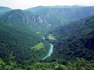 Картинка tara river canyon Черногория природа горы