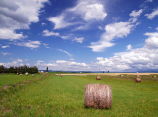 Картинка природа поля сено