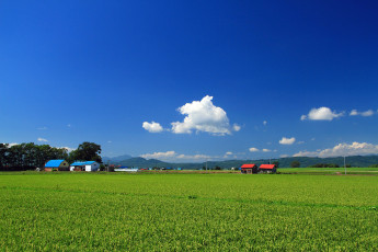 Картинка природа поля поле