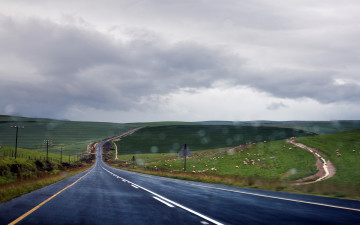 Картинка природа дороги дождь поле дорога