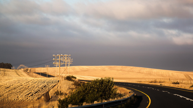 Обои картинки фото природа, дороги, поле, дорога, пейзаж