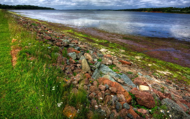 Обои картинки фото st, peter`s, bay, природа, реки, озера, берег, трава, камни, река