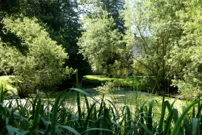 Обои картинки фото дания, krusа, природа, парк, река