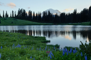 Картинка tipsoo lake mount rainier national park природа реки озера гора вулкан рейнир washington озеро типсу