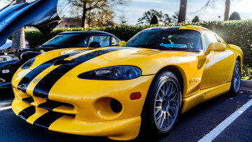 Картинка dodge viper автомобили выставки уличные фото сша коммерческие легковые chrysler group llc