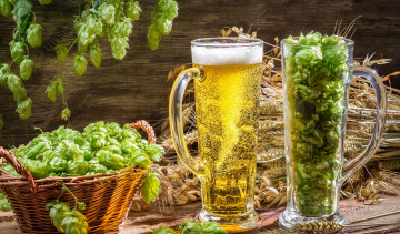 Картинка еда напитки пиво бокалы хмель корзина колосья