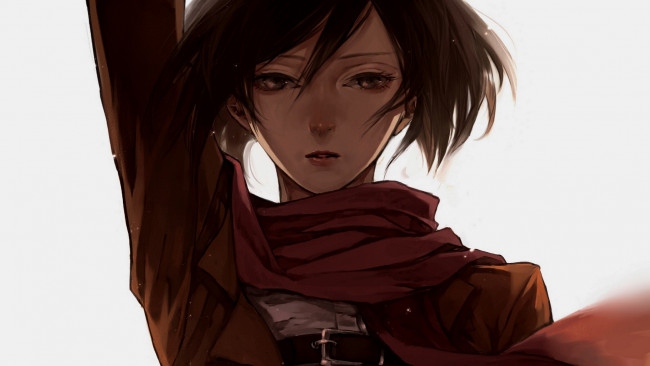 Обои картинки фото аниме, shingeki no kyojin, атака, титанов, арт, mikasa, ackerman
