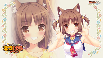 Картинка аниме nekopara цветы взгляд девушки