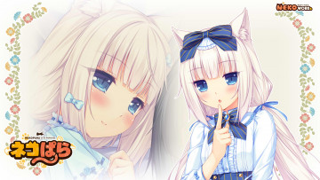Картинка аниме nekopara взгляд цветы девушки