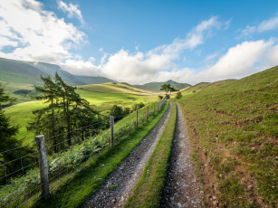 Картинка природа дороги тракт