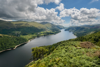 Картинка природа реки озера лес река