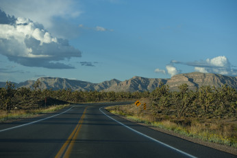 Картинка природа дороги тракт