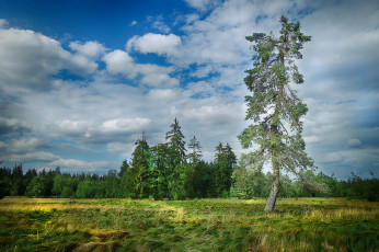 Картинка природа пейзажи простор