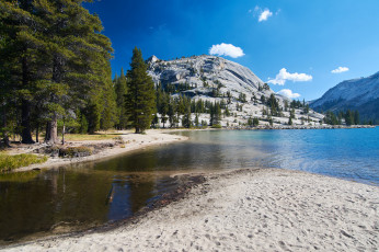 Картинка природа реки озера река лес