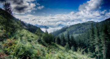 Картинка природа горы скалы