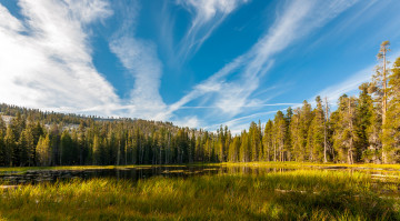 Картинка природа реки озера лес река