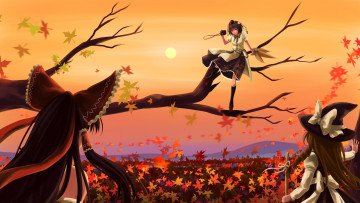 Картинка аниме touhou фон взгляд девушка