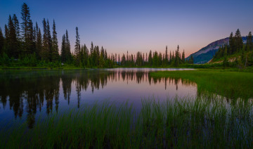 Картинка природа реки озера река лес