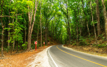 Картинка природа дороги тракт