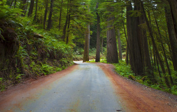 Картинка природа дороги тракт