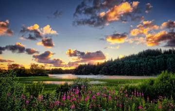 Картинка природа реки озера река лес