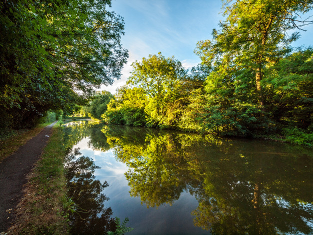 Обои картинки фото природа, реки, озера, река, лес