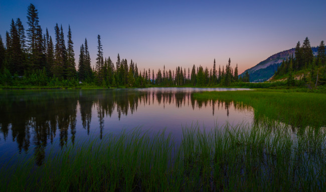 Обои картинки фото природа, реки, озера, река, лес