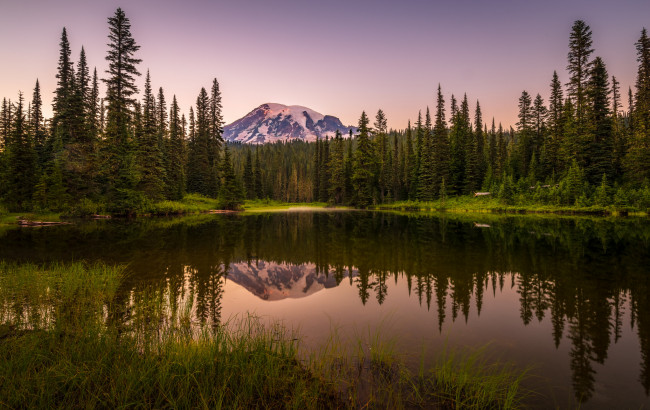 Обои картинки фото природа, реки, озера, река, лес