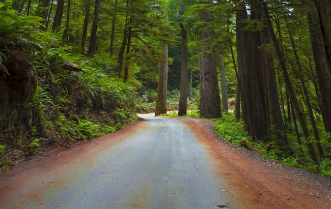 Обои картинки фото природа, дороги, тракт