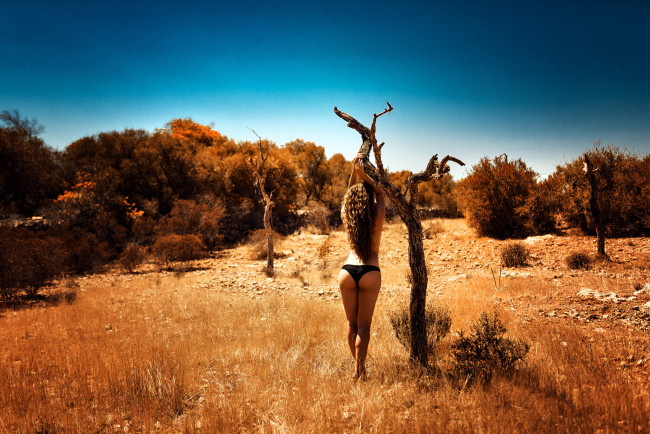 Обои картинки фото девушки, -unsort , брюнетки,  шатенки, трава, дерево, попка