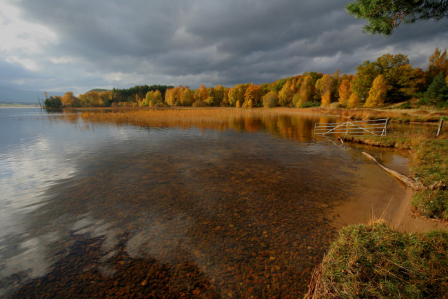 Обои картинки фото природа, реки, озера, река, лес