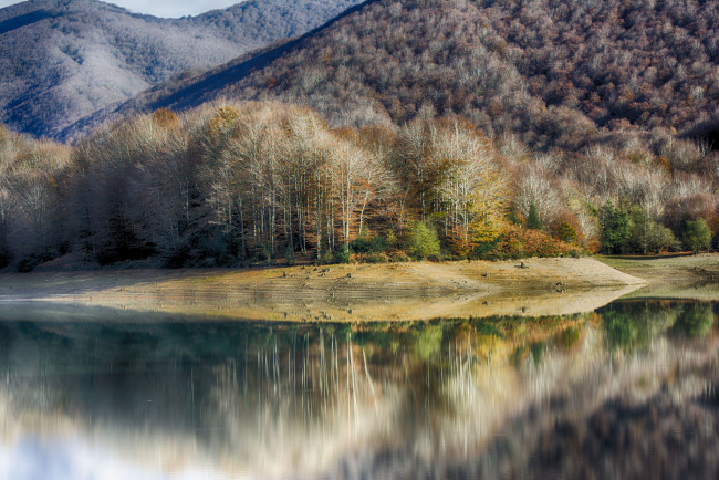 Обои картинки фото природа, реки, озера, река, лес