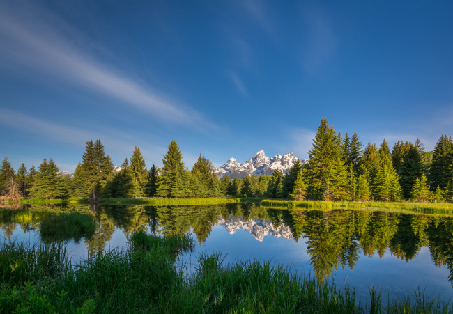 Обои картинки фото природа, реки, озера, река, лес