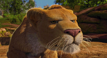 Картинка мультфильмы the+wild деревья львенок